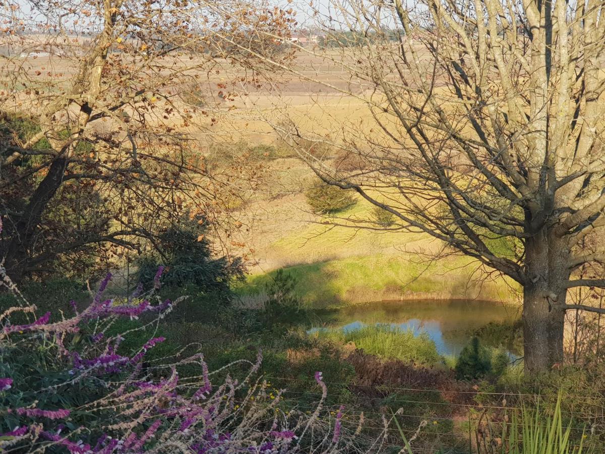 Little Fields Country House And Cottages Howick Buitenkant foto