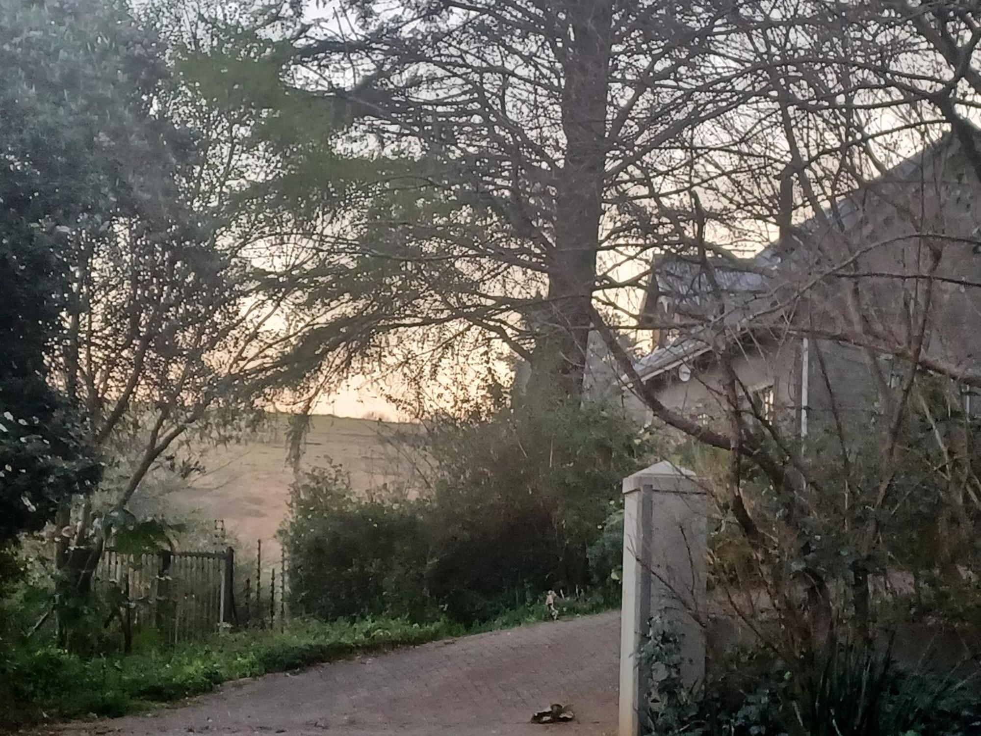 Little Fields Country House And Cottages Howick Buitenkant foto
