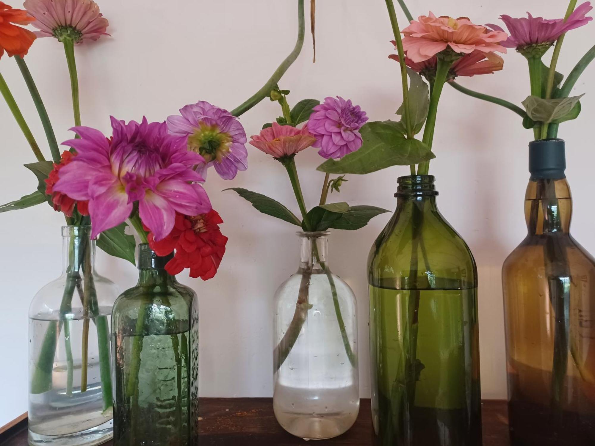 Little Fields Country House And Cottages Howick Buitenkant foto